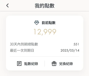消費記錄介面展示